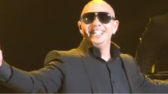 Pitbull - Pitbull