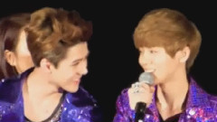 两只恰恰好 勋鹿