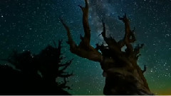 Omar Akram - Run Away with Me