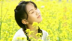 卓依婷 - 妹妹你真美