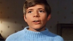 夏日的最后一朵玫瑰