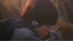 不能飞翔的翅膀