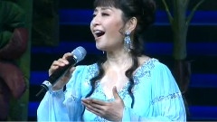 殷秀梅 - 走进南方