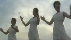 陈红 - 感恩的心