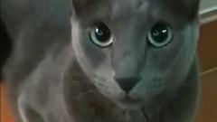 出道七周年纪念