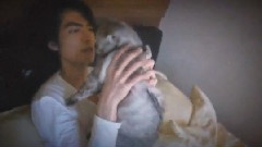 萧敬腾 - CANTONESE