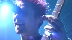 Muse - Muscle Museum