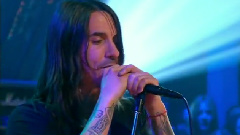 Red Hot Chili Peppers - Snow