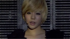 Genie & Hoot & Gee & Mr.Taxi