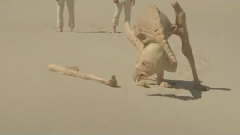 MGMT - Congratulations