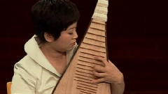 民乐群星 - 远方的客人请你留下来