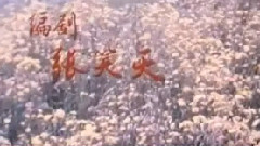 电影<春眠不觉晓>片头曲