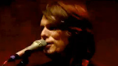 Lovebugs - Everybody Knows I Love You