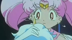 小小兔的恋爱物语