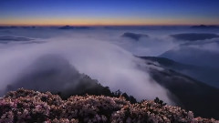 Secret Garden,音乐短片 - Dreamcatcher