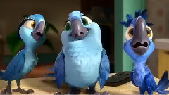 电影 <里约大冒险2>