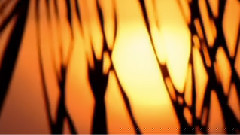 Stamatis Spanoudakis - The Light At Dusk