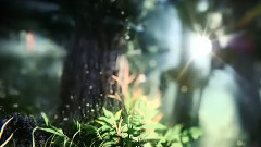 Giovanni Marradi - While I Was Dreaming...