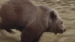 Yanni,音乐短片 - Rites of Passage