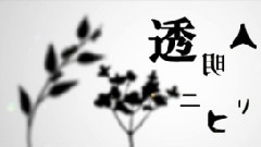 Nico - 透明人間のニヒリズム