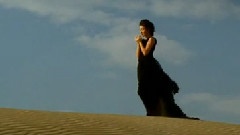 陈红 - 感恩的心