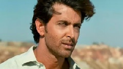 印度群星 - 我梦中的小鸟