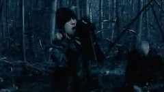 Swallow The Sun - Descending Winters