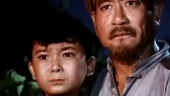 邓玉华 - 映山红