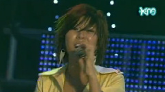 乌龟组合 - 飞机