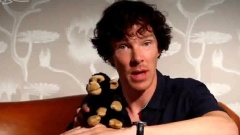 Benedict Cumberbatch,Martin Freeman - 潮爷和BC为圣地亚哥漫展送来问候