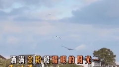 Amazing f(x) EP08 宋茜CUT