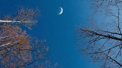 Giovanni Marradi - Nocturnes