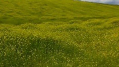 Bandari - The Wind Of Change