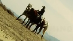 Scissor Sisters - Only The Horses