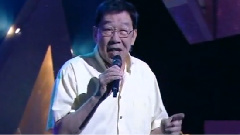 胡枫 - 往事只能回味