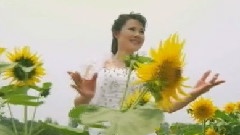 我的江汉大平原