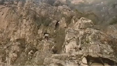 影视原声 - 爱你1314