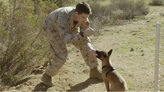 Blake Shelton,影视原声 - Forever Young