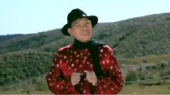 陈雷 - 有你就好