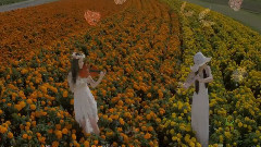 墨明棋妙 - 穿越