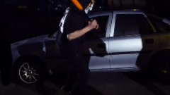 The Cataracs - Animals