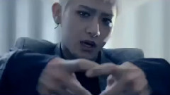 奇妙历险之寻喵记