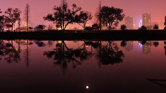 延时亚洲:梦幻之旅