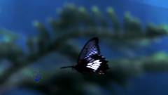 Giovanni Marradi - Ghost