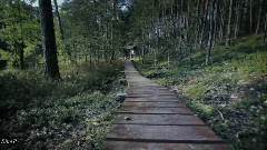 Giovanni Marradi - Violetera