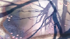 动漫< 秒速5センチメートル >