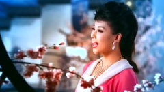 高畅 - 相思红豆