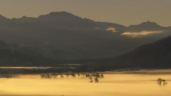 李闰珉 - River Flows In You