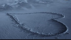 Maksim Mrvica - Still Water