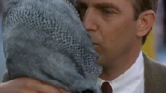 I Will Always Love You